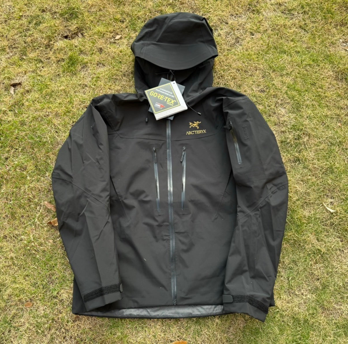 Arct Alpha Sv 6 Black (Gold)